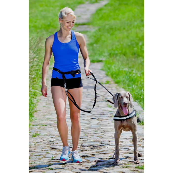 Dingo Set para correr con perro