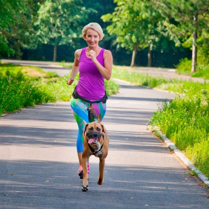 Dingo Cinturón para correr