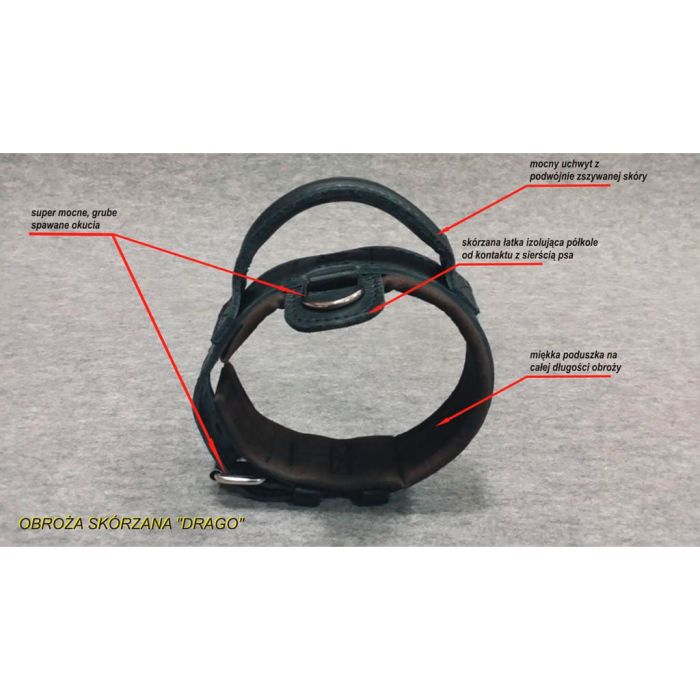 Dingo Gear Collar Drago de cuero con asa 50 mm