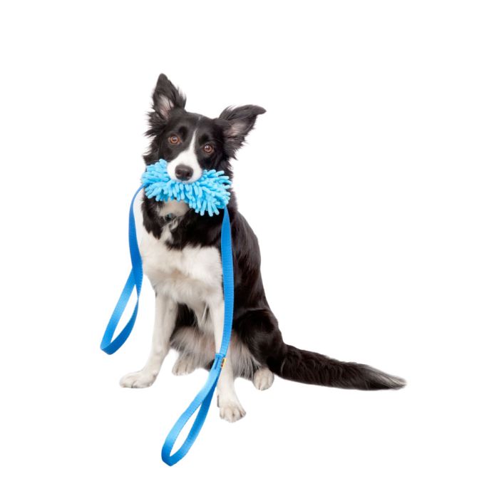 Dingo Correa agility azul con mordedor fregona 20 mm x 1,6 m
