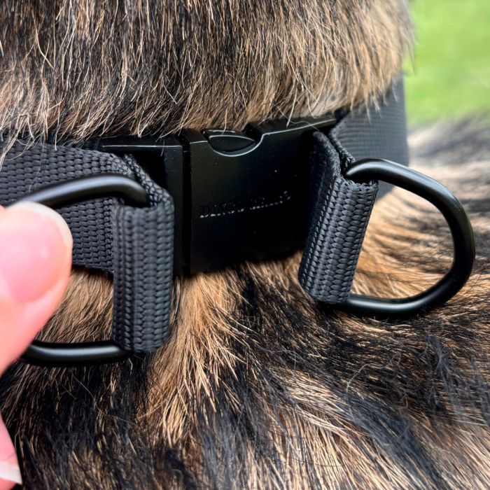 Dingo Gear Collar negro con púas redondeadas y cubiertas de silicona