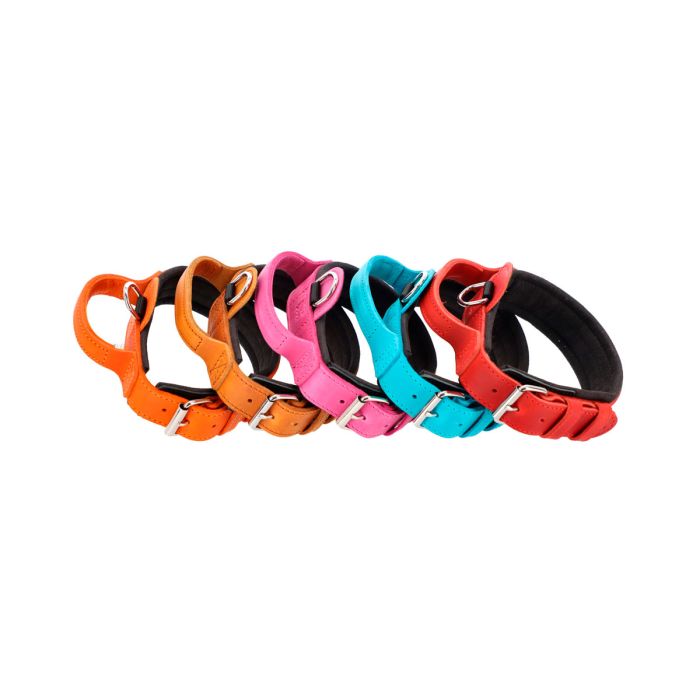 Dingo Gear Collar Drago rojo con asa 50 mm