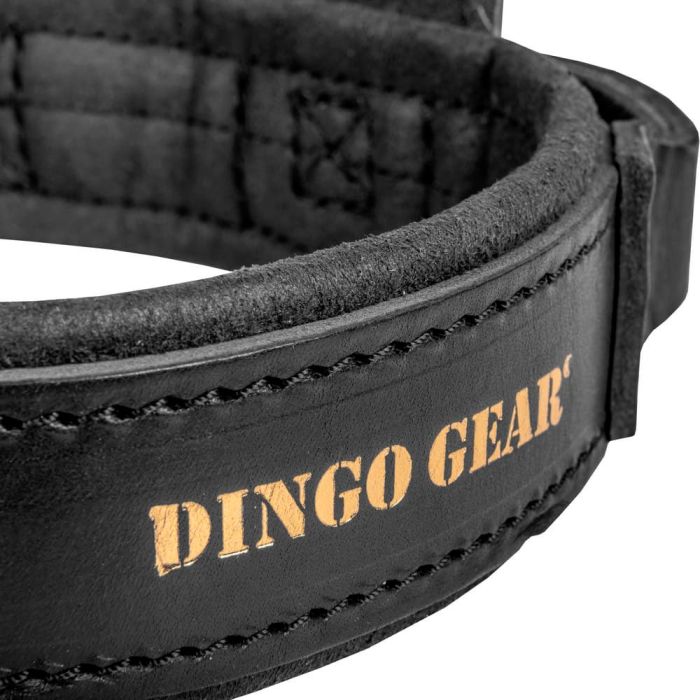 Dingo Gear Collar Drago de cuero con asa 50 mm