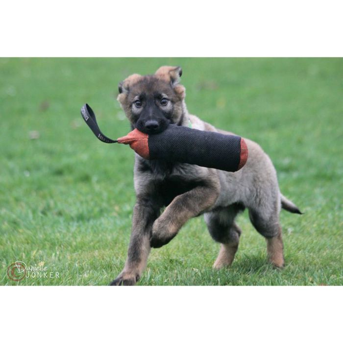 Dingo Gear Rodillo de entrenamiento de tela francesa 25 cm x 8 cm