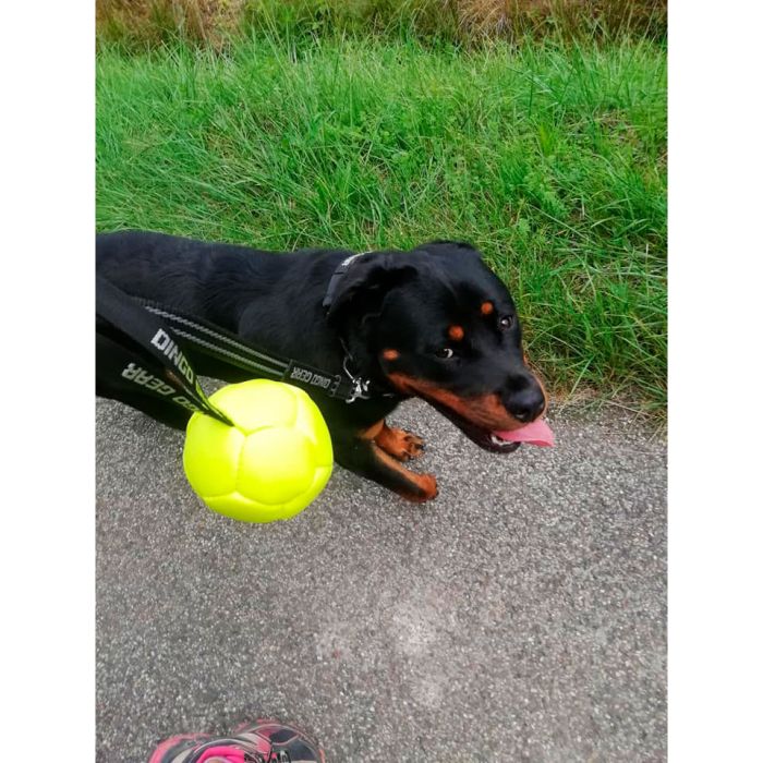 Dingo Gear Balón de ecopiel 13 cm con asa