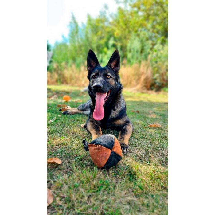 Dingo Gear Pelota de tela francesa 16 cm con asa