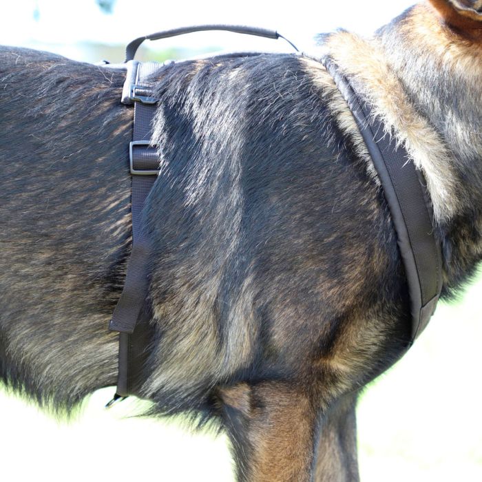 Dingo Gear Arnés universal ultraligero