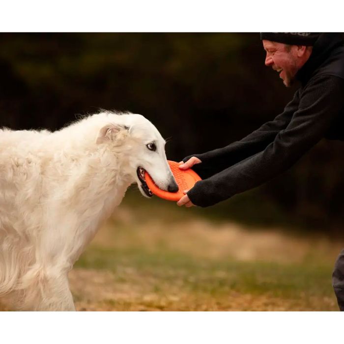 Non-stop dogwear Dog flying disc