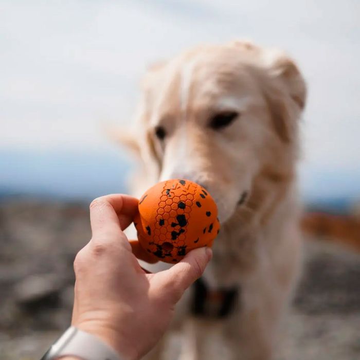 Non-stop dogwear Dog ball
