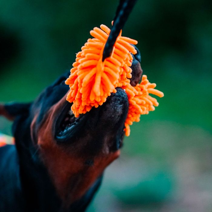 Dingo Mordedor fregona con asa elástica