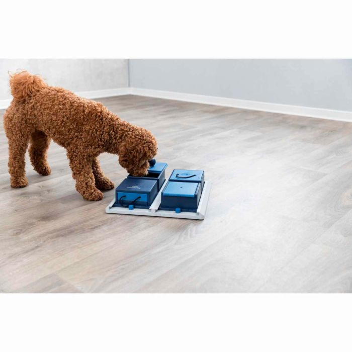 Trixie Dog Activity Poker Box - Nivel 2 - 31 cm x 10 cm x 31 cm 
