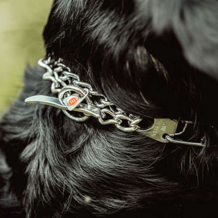 HS Sprenger Collar Ultra-Plus con Whale Tail acero inoxidable 3 mm x 50 cm