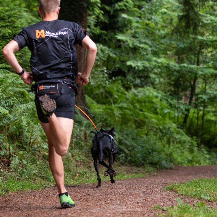 Non-stop dogwear Bungee leash