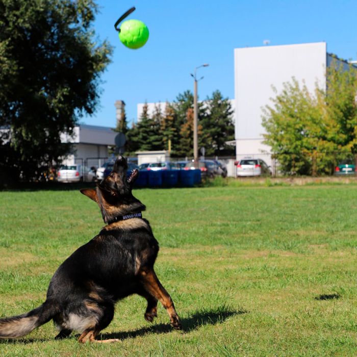 Dingo Gear Pelota inflable de ecopiel verde neon