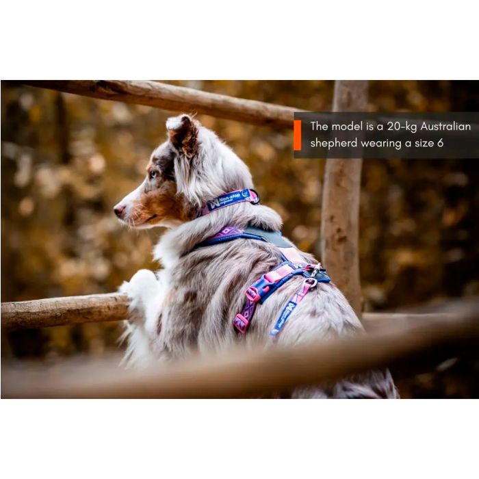 Non-stop dogwear Line Harness 5.0 Rachel Pohl edition morado rosa