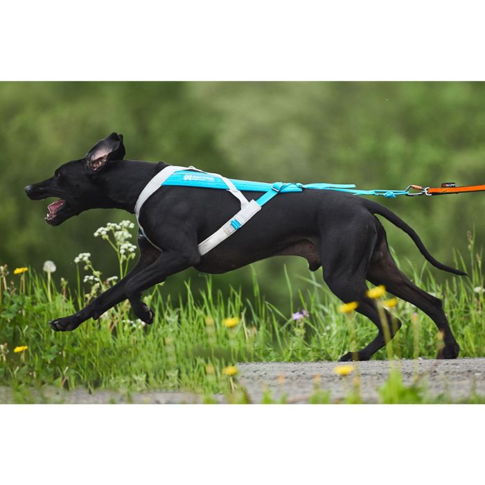 Non-stop dogwear Arnés Freemotion 5.0 azul