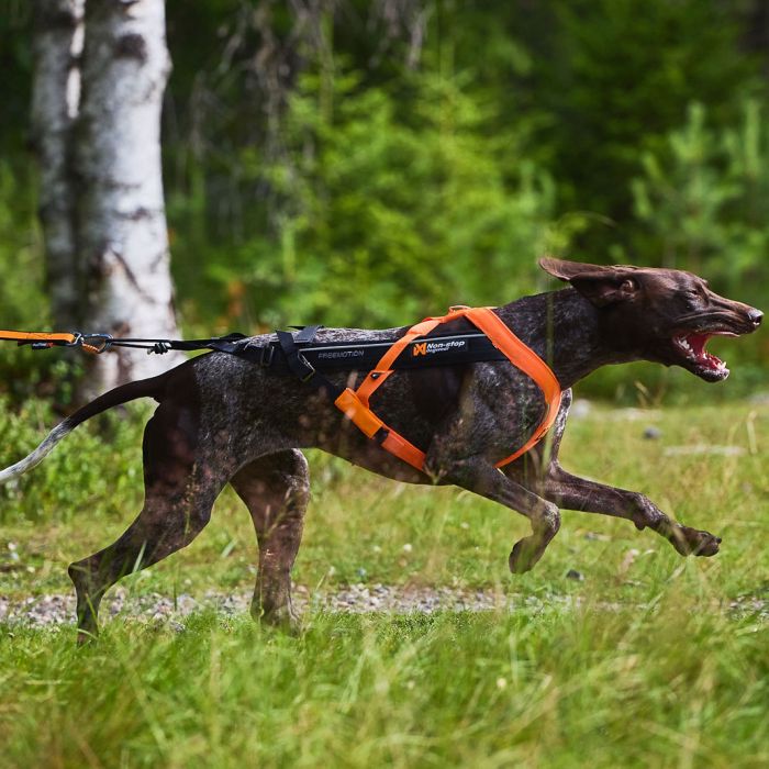 Non-stop dogwear Arnés Freemotion 5.0