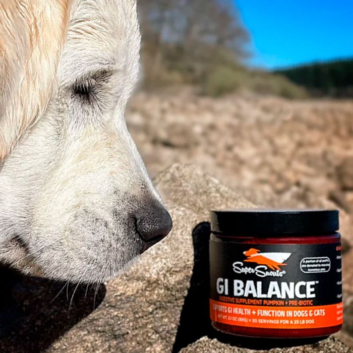 Super Snouts GI Balance Regulador gastrointestinal 88 g