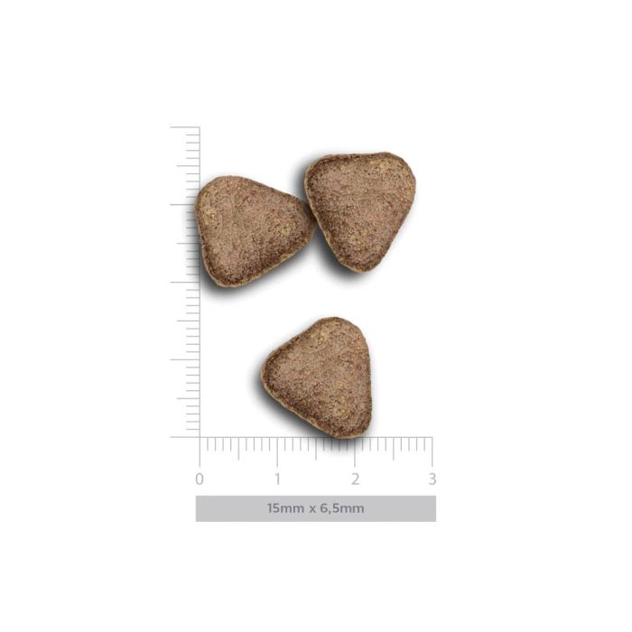 Harper & Bone Adult Dog Fresh Market