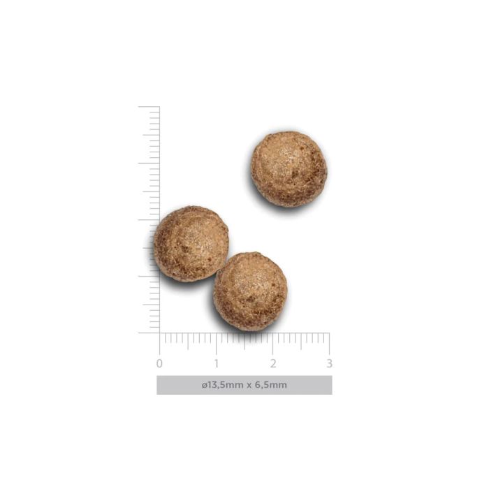 Harper & Bone Adult Dog Flavours Of The Farm