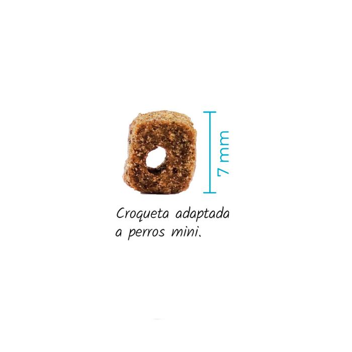 Lenda Adult Mini Light & Sterilized 2 kg