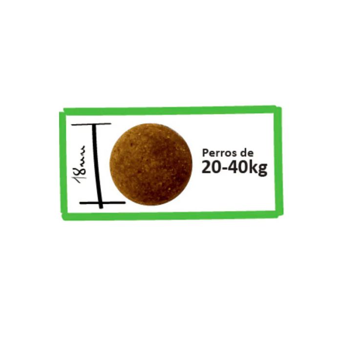 Lenda Medium Maxi Urban Meadow Taste Cordero 15 kg