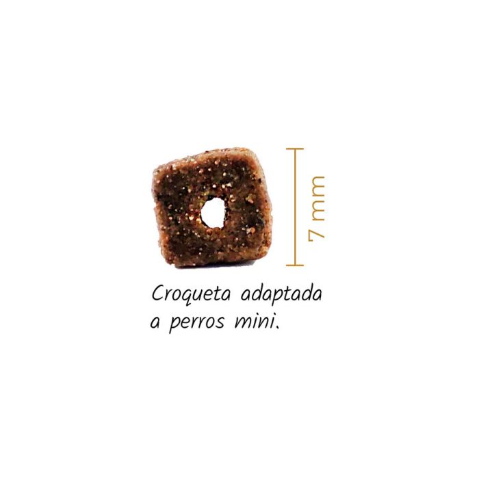 Lenda Adult Mini Meat & Fish