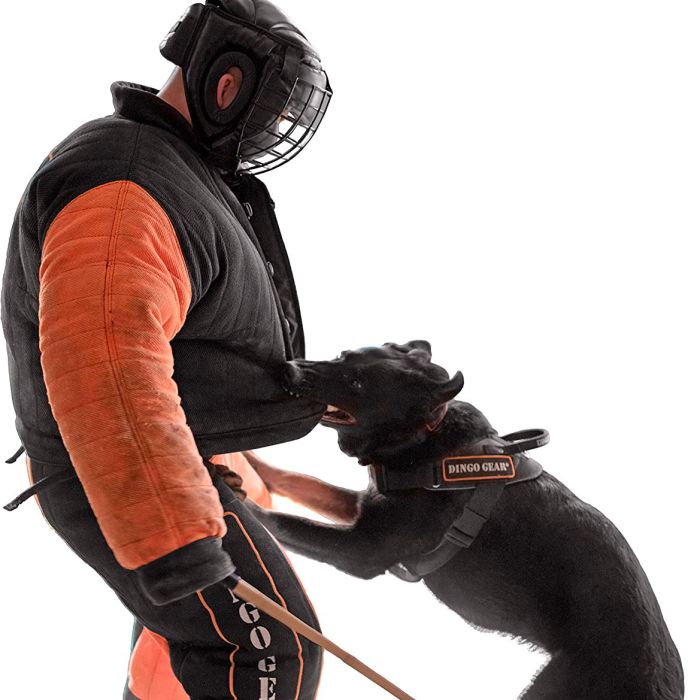 Dingo Gear Máscara protectora ligera