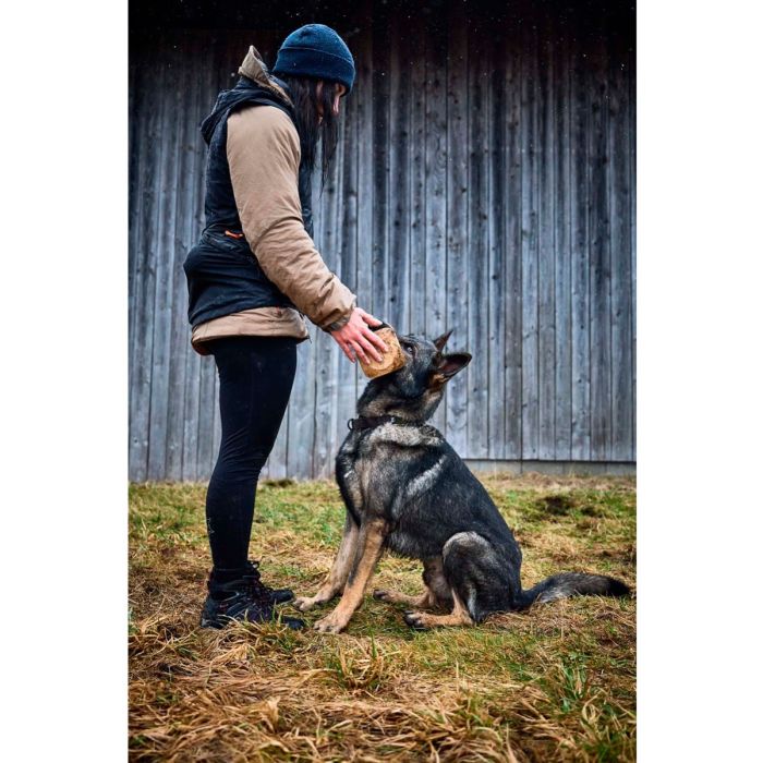 Non-stop dogwear Solid Adjustable Collar WD