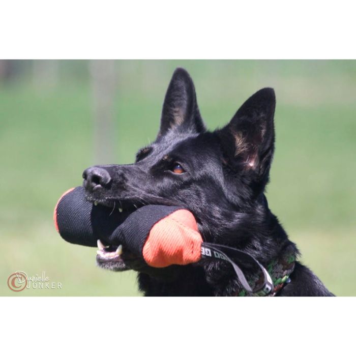 Dingo Gear Rodillo de entrenamiento de tela francesa 25 cm x 8 cm