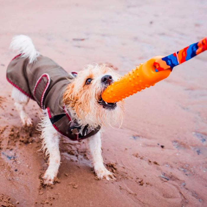 Tug-E-Nuff BOB: The 3-in-1 Dog Dummy
