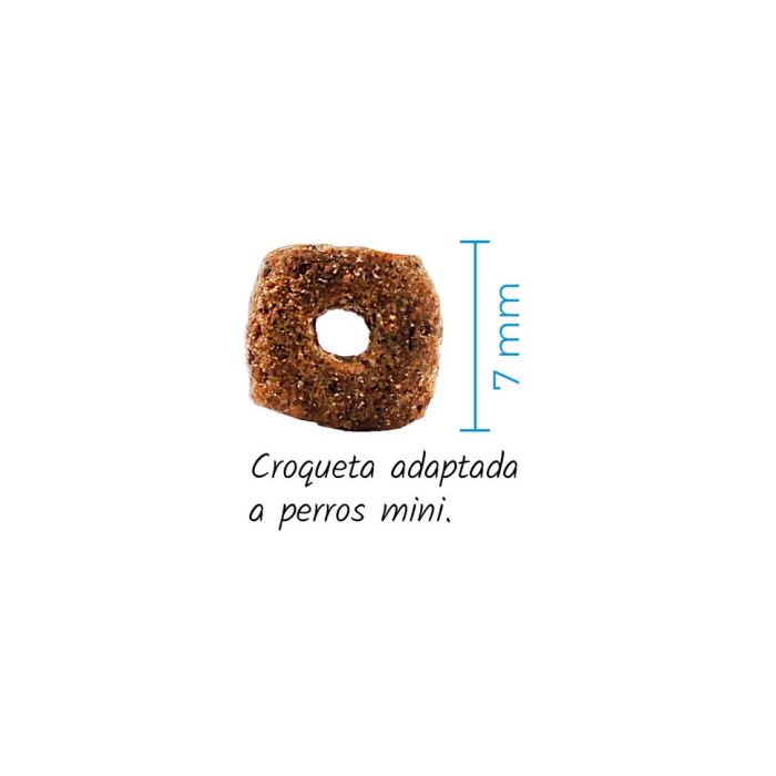 Lenda Adult Mini Hypoallergenic Skin & Coat