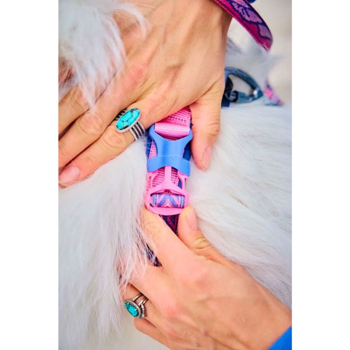 Non-stop dogwear Line Harness 5.0 Rachel Pohl edition morado rosa