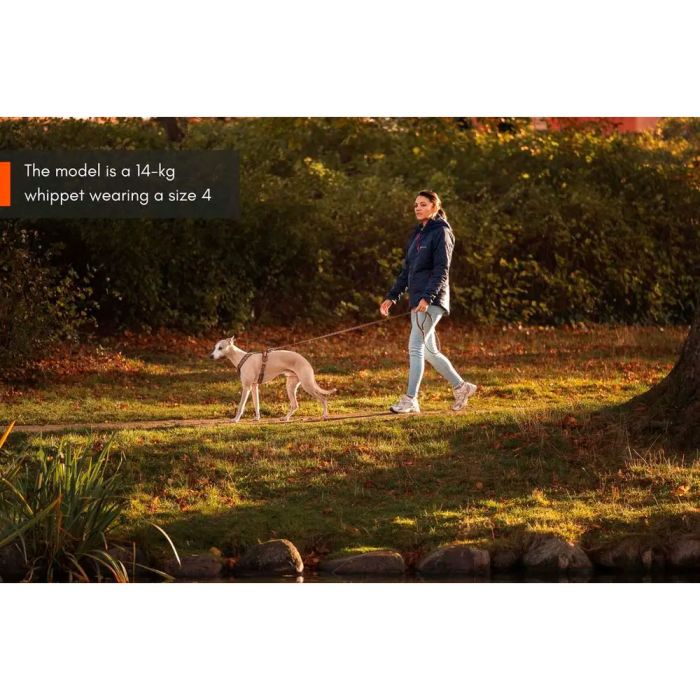 Non-stop dogwear Line Harness 5.0 Rachel Pohl edition turquesa roble