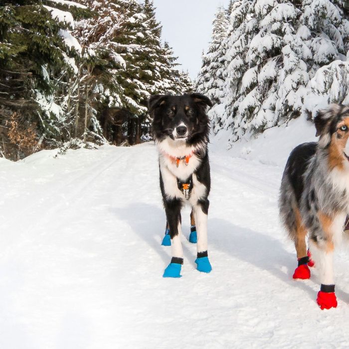 Non-stop dogwear Long distance bootie azul
