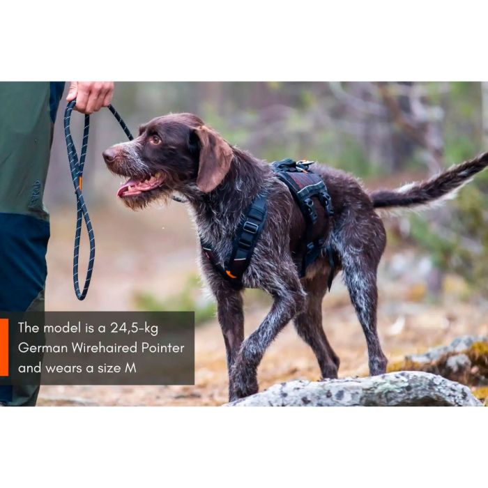 Non-stop dogwear Rock Harness Long