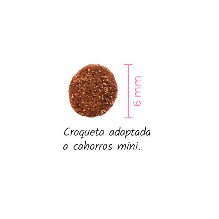 Lenda Puppy Mini First Bite 2 kg
