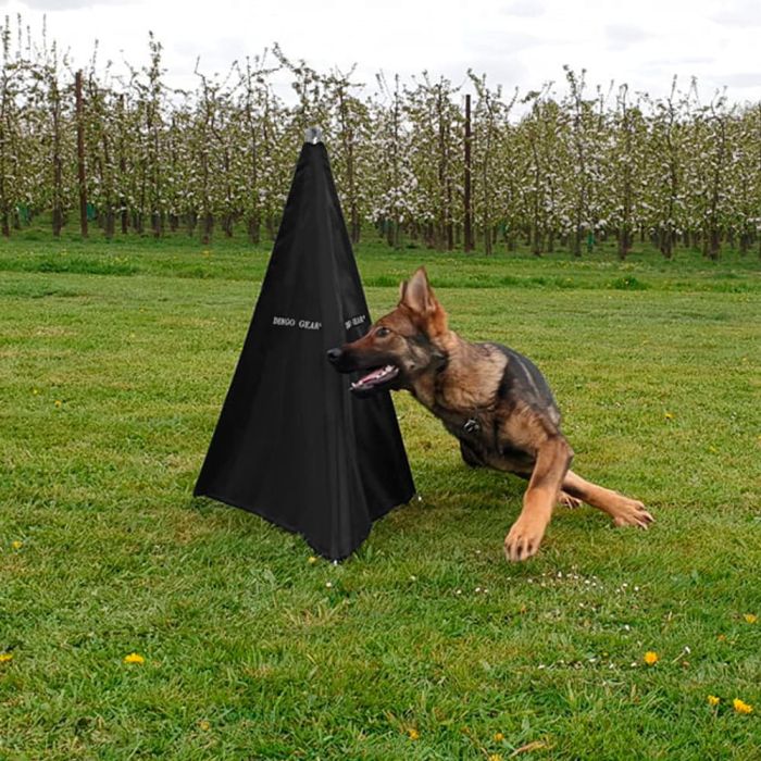 Dingo Gear Mini Revier de 100 cm de altura