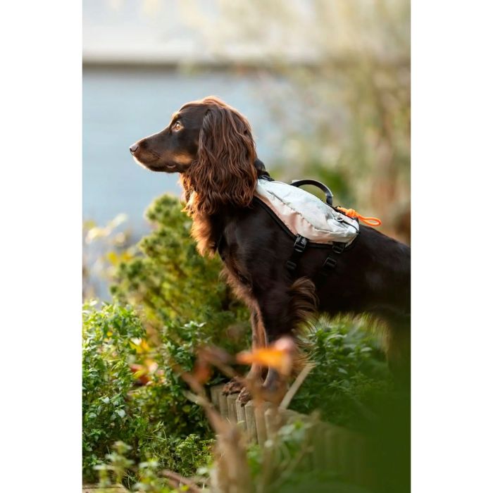 Non-stop dogwear Trail light dog backpack