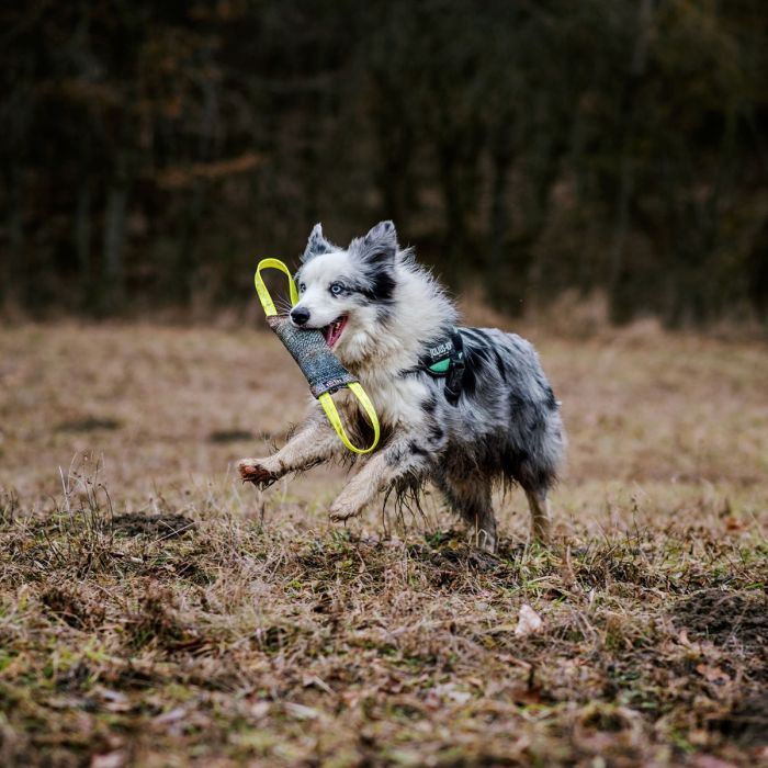 Julius-K9 Mordedor de tela francesa con dos asas y costura interna