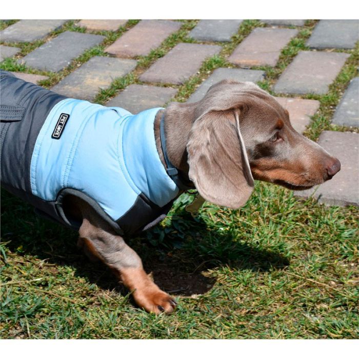 Nayeco Chaqueta Montecarlo azul