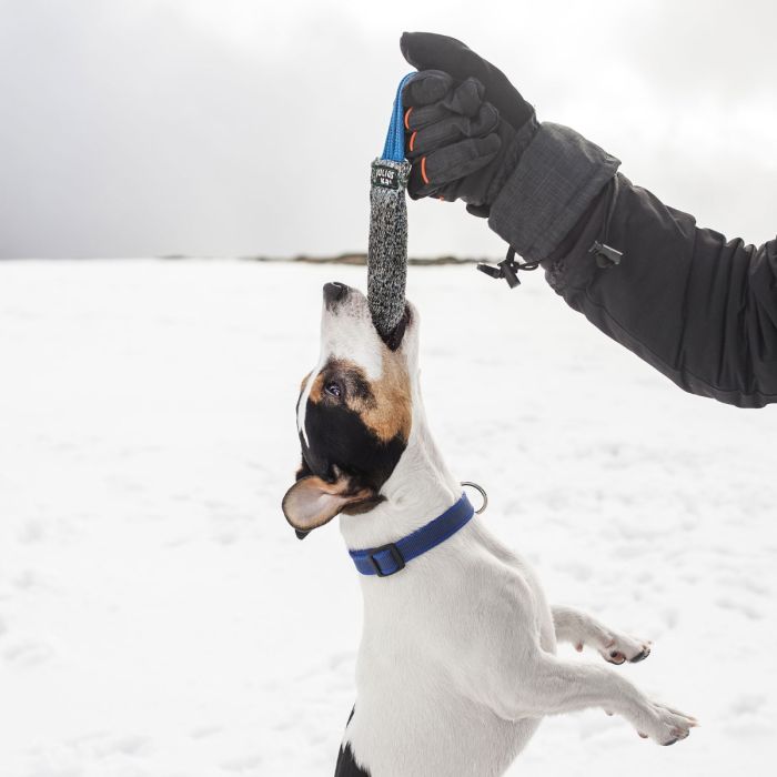 Julius-K9 Mordedor de tela francesa con un asa