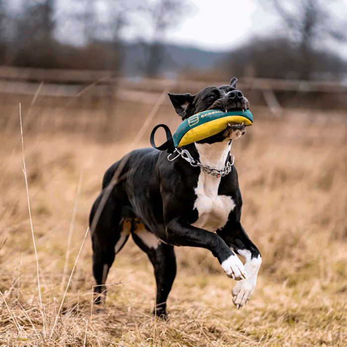 HS Sprenger Dog Toy Soft Bite Tug