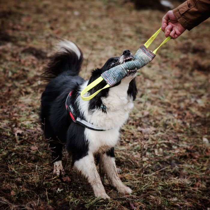 Julius-K9 Mordedor de tela francesa con dos asas y costura interna