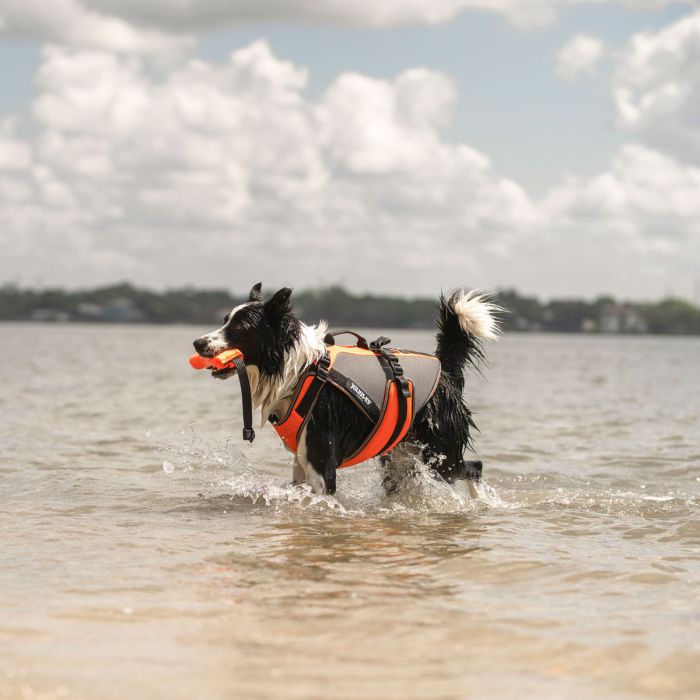 Julius-K9 Multivest