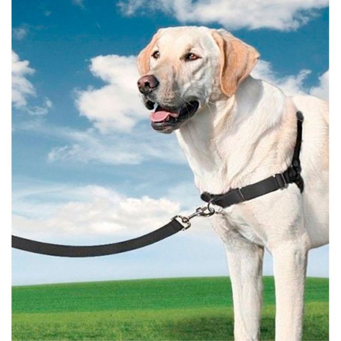 Nayeco Arnés Easy Walk negro