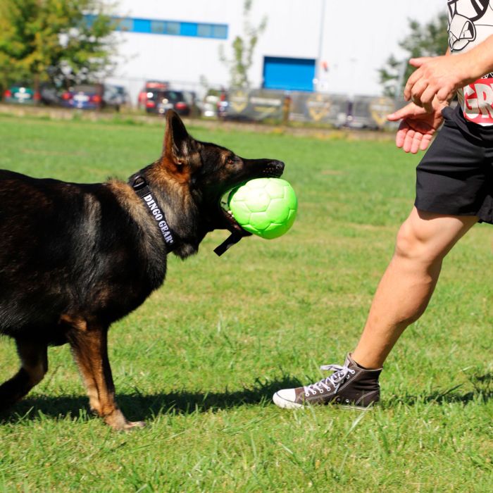 Dingo Gear Pelota inflable de ecopiel verde neon