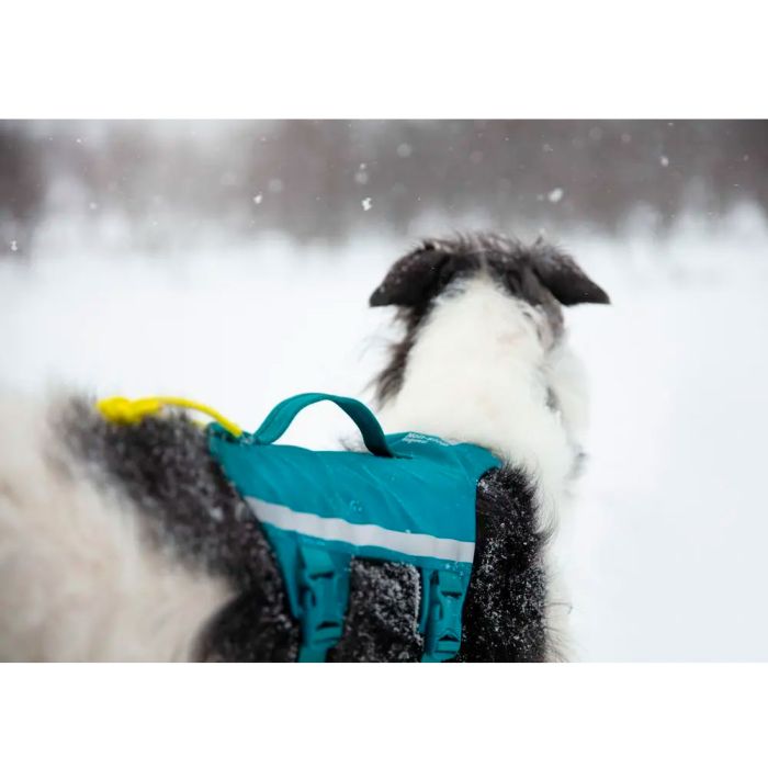 Non-stop Ramble harness long