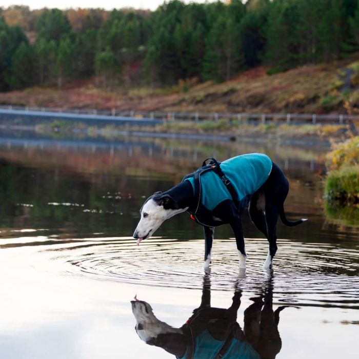 Non-stop dogwear Trail quest fleece pullover