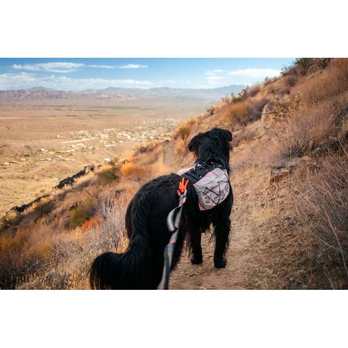 Non-stop dogwear Trail light dog backpack